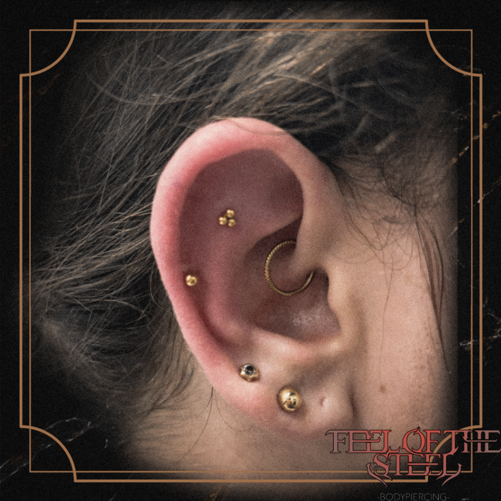 Composition de piercings d'oreille en bijoux dorés