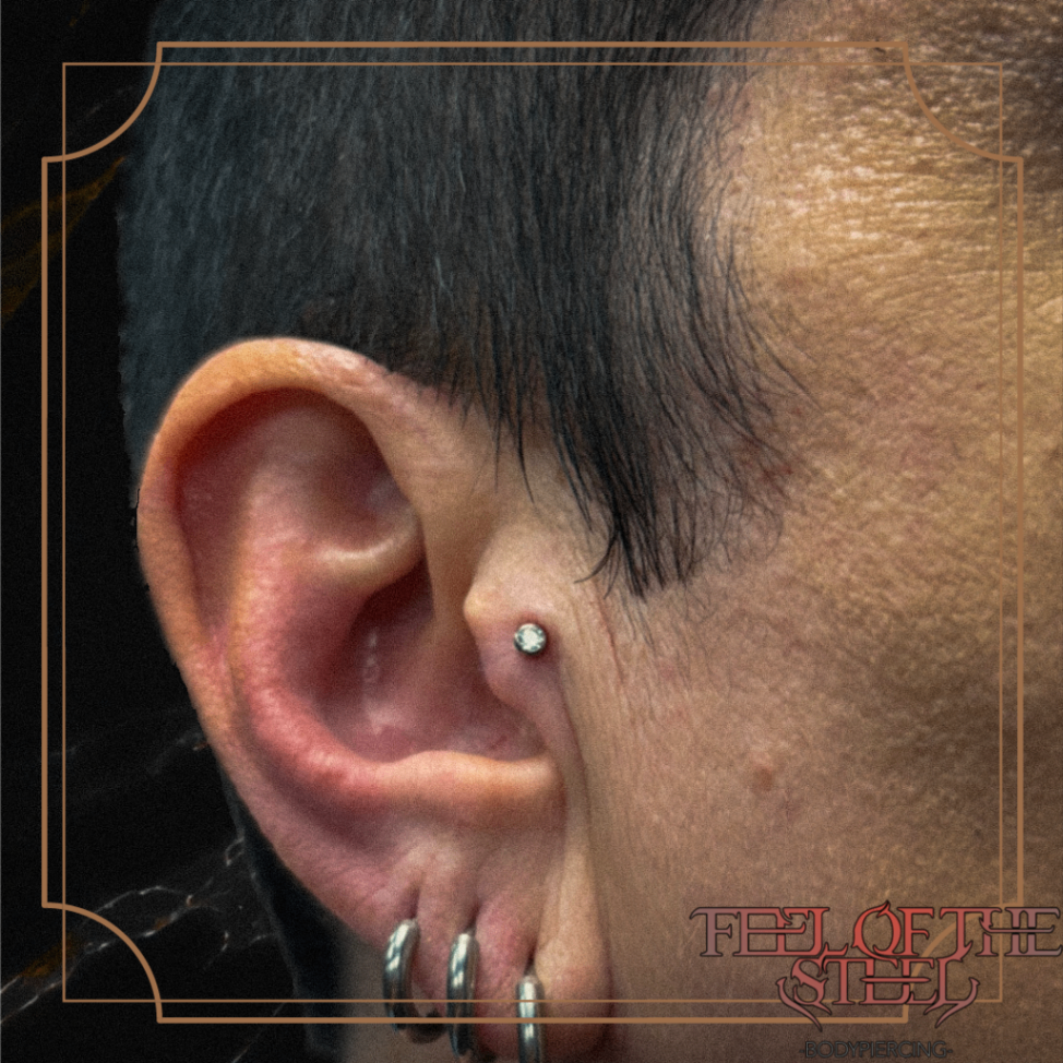Piercing oreille sur oreille rasée